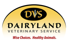Logo for Dairyland Veterinary Logo for Dairyland Veterinary
