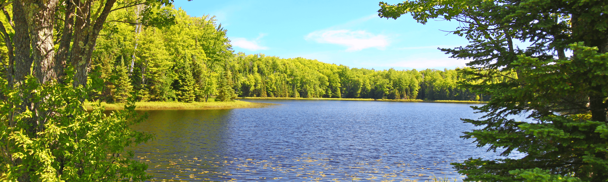 scenic lake view